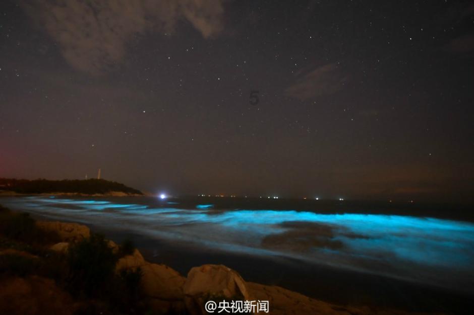 舜甫装备-宠物食品生产线设备与宠物食品加工设备